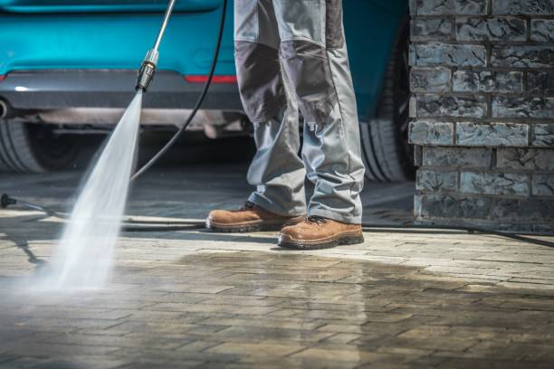 Best Soft Washing  in Wallenuck Lake Estates, PA